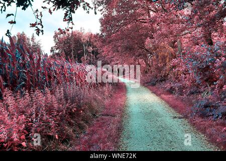 Beautiful pink and purple infrared shots of country landscapes in europe Stock Photo