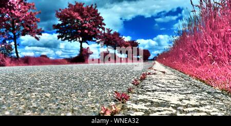 Beautiful pink and purple infrared shots of country landscapes in europe Stock Photo