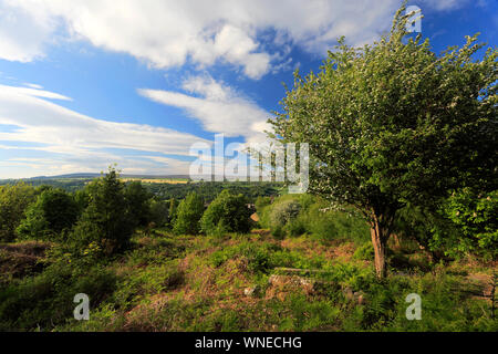 View over Ilkley Moor, above the town of Ilkley, West Yorkshire, England, UK Stock Photo
