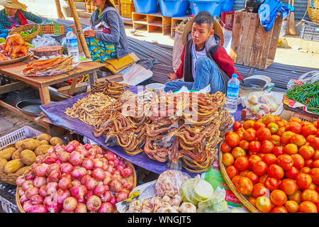 TAUNGGYI, MYANMAR - FEBRUARY 20, 2018: The little boy is a vendor of vegetable stall of agricultural market, he sits at the heaps of tomatoes, onion, Stock Photo