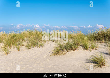 Ocean and Marram Grass on the island Sylt, Germany Stock Photo
