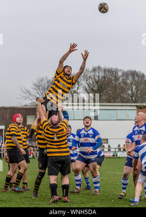 Rugby players held up high stretching for the ball thrown in at the line out