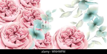 Peony flowers card Vector watercolor. Delicate pink floral decor Stock Vector
