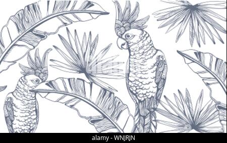 Parrot card Vector line art . Exotic palm leaves decors. Summer party background Stock Vector