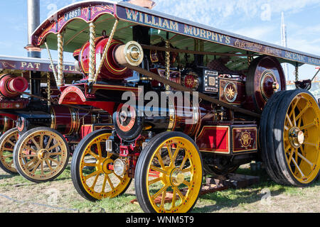 Blandford Forum.Dorset.United Kingdom.August 24th 2019.A row of traction engines is on display at The Great Dorset Steam Fair. Stock Photo