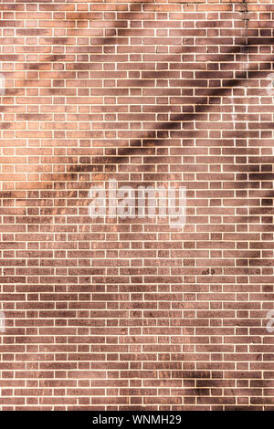 Brick wall texture with shadows from a nearby tree Stock Photo