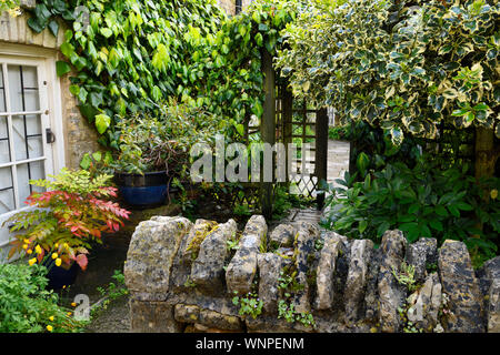Residential garden and patio with wet plants after a rain shower in Bouton-on-the-water in the Cotswolds England Stock Photo