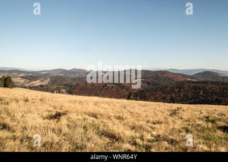 autumn Beskid Zywiecki mountains with hills covered by colorful forest from Hala na Malej Raczy meadow on polish - slovakian borders Stock Photo