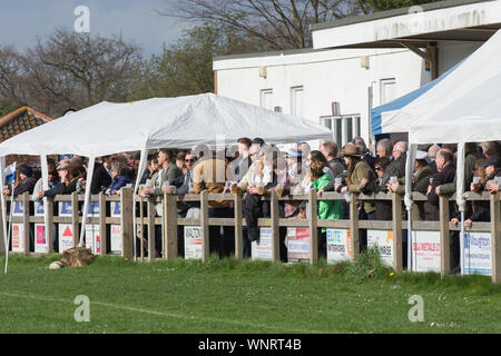 Amateur rugby club supporters pack the fence to watch local derby match Stock Photo