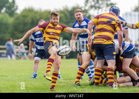 Amateur rugby, male player scrum half (number 9) kicks ball from the back of a scrum Stock Photo