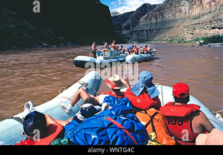 Two large neoprene rafts float down the muddy Colorado River on adventure trip that runs through Grand Canyon National Park in Arizona, USA. Each of the outboard motor-powered boats carries up to 14 passengers and two crew members plus food and camping supplies for 3-1/2 to 8-day outings that wind from 88 to 188 miles (142 to 303 kilometers) through the famous river canyon. The longer the trip, the more thrills through water-splashing rapids along the way; life jackets are provided. An option are oar-powered rafting trips that take 5-1/2 to 14 days to cover the same motor-powered distances. Stock Photo