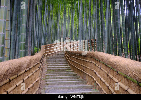 A path through a bamboo grove in Kyoto, Japan with bamboo fencing on either side receding into the distance. Stock Photo