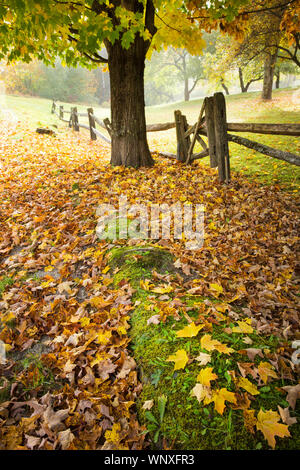 Fall time in New England. Driving country roads brings you past autumn seasonal scenes with colorful trees and old fence lines. Leaf peeping Vermont Stock Photo