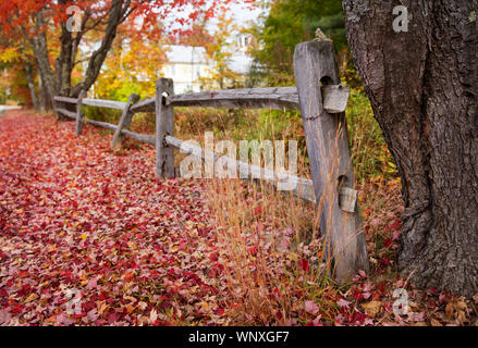 Fall time in New England. Driving country roads brings you past autumn seasonal scenes with colorful trees and old fence lines. Leaf peeping Vermont Stock Photo