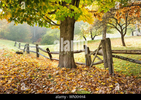 Fall time in New England. Driving country roads brings you past autumn seasonal scenes with colorful trees and old fence lines. Leaf peeping Vermont Stock Photo