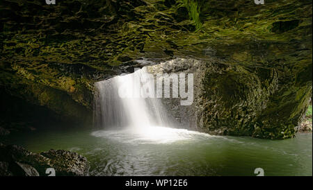 The Natural Bridge waterfall at Springbrook National Park in Queensland Australia Stock Photo