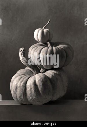 Stacking Still Life black and white still life with pumpkins, autumn Stock Photo - Alamy