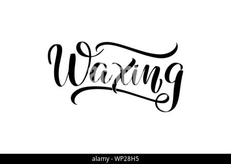 handwritten brush lettering Stock Vector