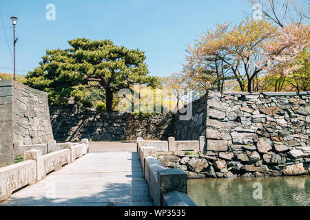 Tokushima Central Park Tokushima Castle Ruins at spring in Shikoku, Japan Stock Photo