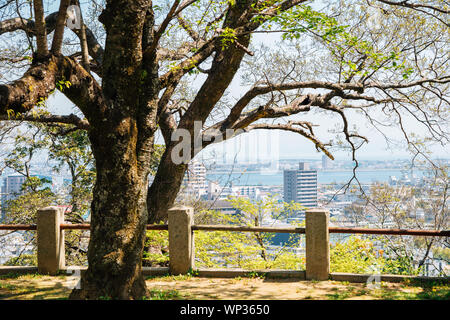 Tokushima Central Park and city view in Shikoku, Japan Stock Photo