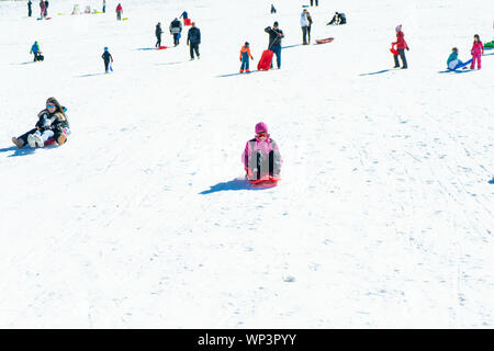 People coming down on sleds at Sierra Nevada ski resort. Stock Photo