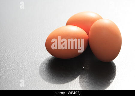 Three chicken eggs on black background against morning sun light Stock Photo