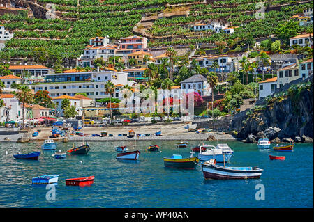 The island of Madeira and the village of Camara de Lobos, and fishing boats in the pretty harbour, are overlooked by terraced hillsides. Stock Photo