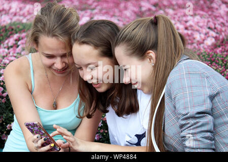 Three laughing girls sitting in flowers garden, emotionally discussing and looking on smartphone screen. Friendship, gossips, sharing impressions Stock Photo