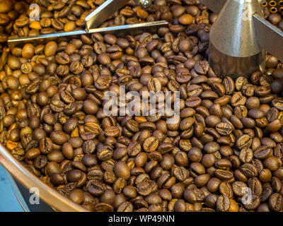 Freshly roasted coffee beans in cooling tray Stock Photo