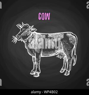 Animal cow in the style of chalk on a blackboard. Vector illustration of cow Stock Vector