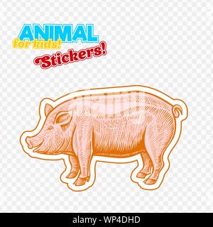 Farm animal pig or pork in sketch style on colorful sticker. Isolated on transparent background. Can be used for cute coloring book for children. Include silhouette for paper cutting Stock Vector