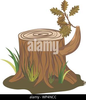 Oak tree stump vector with oak acorn and leaves branch on it. Vector image isolated on white for cartoon decoration and game animations Stock Vector