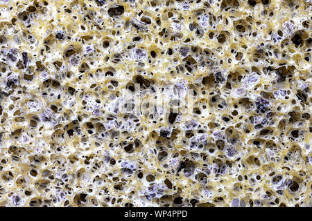 close-up of a sponge with crushed olive kernels, for  massage, peeling Stock Photo