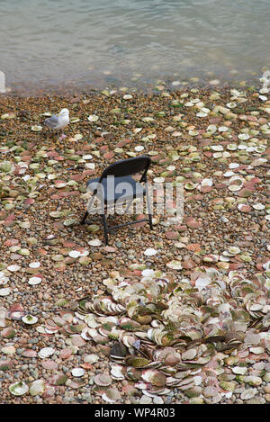 Chair and scallop shell on the beach Stock Photo