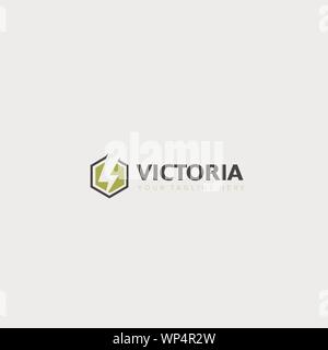 hexagonal and blitz logo electrical bike logo Stock Vector