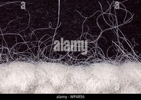 felted white whool extreme closeup Stock Photo