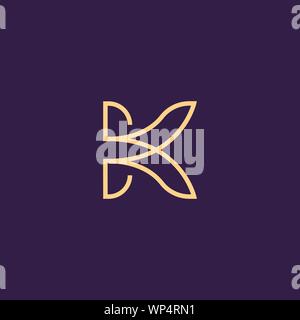 Creative Innovative Initial Letter logo KK K. Minimal luxury Monogram. Professional initial design. Premium Business typeface. Alphabet symbol. Stock Vector