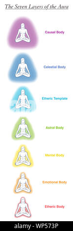 Seven aura bodies chart of a meditating yoga woman. Labeled chart - etheric, emotional, mental, astral, celestial and causal layer an template. Stock Photo
