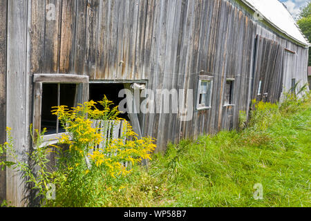Adair, Michigan - An old, decrepit barn. Stock Photo