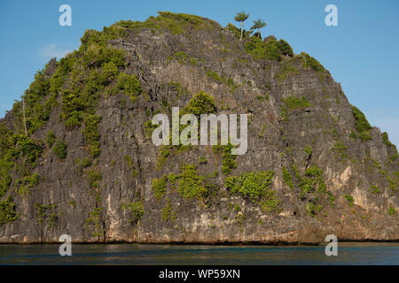 Limestone pinnacle island, Raja Ampat, West Papua, Indonesia Stock Photo