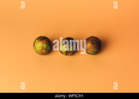 The concept of ugly fruits and citrus fruits. Three limes have soured and dried up. Mold on citrus. Copy space. Stock Photo