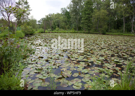 Kenilworth Park And Aquatic Gardens Also Known As Anacostia Park