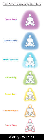 Seven aura bodies chart of a meditating yoga man. Labeled chart - etheric, emotional, mental, astral, celestial and causal layer an template. Stock Photo