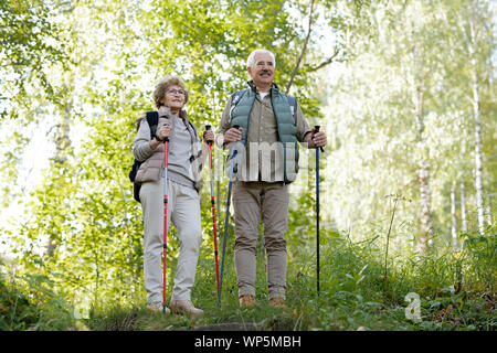 Mature active man and woman with trekking sticks standing among green trees Stock Photo