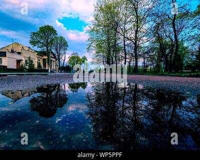 Beautiful shot of the reflection of the combination of high trees and cloudy skies in the water Stock Photo