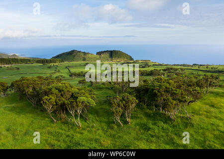 Aerial image of typical volcanic caldeira countryside landscape with volcano cones of Planalto da Achada central plateau of Ilha do Pico Island and be Stock Photo