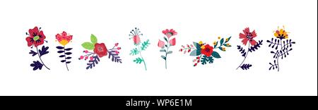 Beautiful flowers. Vector. Decorative floral elements for a flower shop. All plants are isolated on a white background. Botany and floristry. Pattern Stock Vector