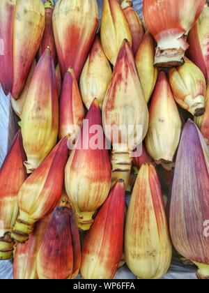 RAW BANANA BLOSSOM IN A FARMER SHOP RARE VEGETABLE FRUITS Stock Photo