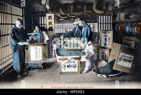 [ 1910s Japan - Sorting Tea Leaves ] — Women and girls sorting and ...