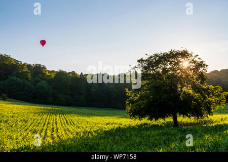 The Virgin hot air balloon flys over the Chilterns in the sunset Stock Photo